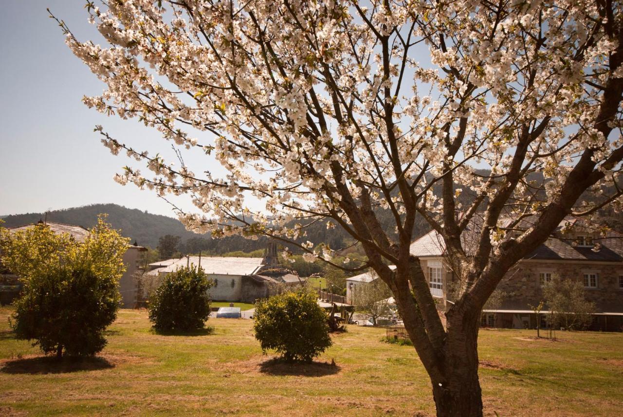 Hotel As Vinas Viveiro Exteriér fotografie